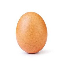Instagram egg - Wikipedia